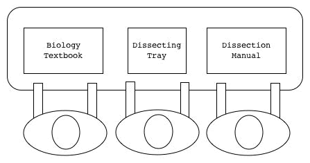 Figure 1: Students in a traditional dissection laboratory with different roles