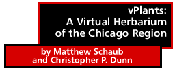 vPlants: a Virtual Herbarium of the Chicago Region by Matthew Schaub and Christopher P. Dunn