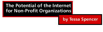 The Potential of the Internet for Non-Profit Organizations by Tessa Spencer