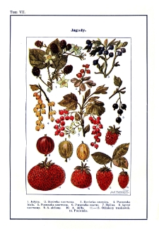 Wielka ilustrowana encyklopedja powszechna T. 7, Izaszar - Kolejowe rozkłady jazdy Tablice T7