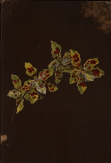 Stein's Orchideenbuch : Beschreibung, Abbildung und Kulturanweisung der empfehlenswertesten Arten