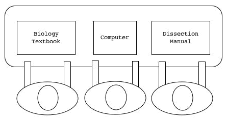 Figure 3 Shared use of a dissection simulation by a group of students