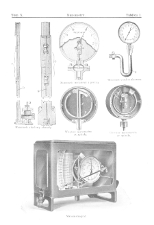 Wielka ilustrowana encyklopedja powszechna T. 10, Małże - Morny Charles Auguste Tablice T10
